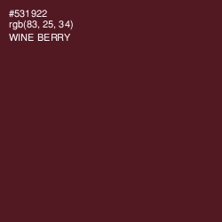 #531922 - Wine Berry Color Image